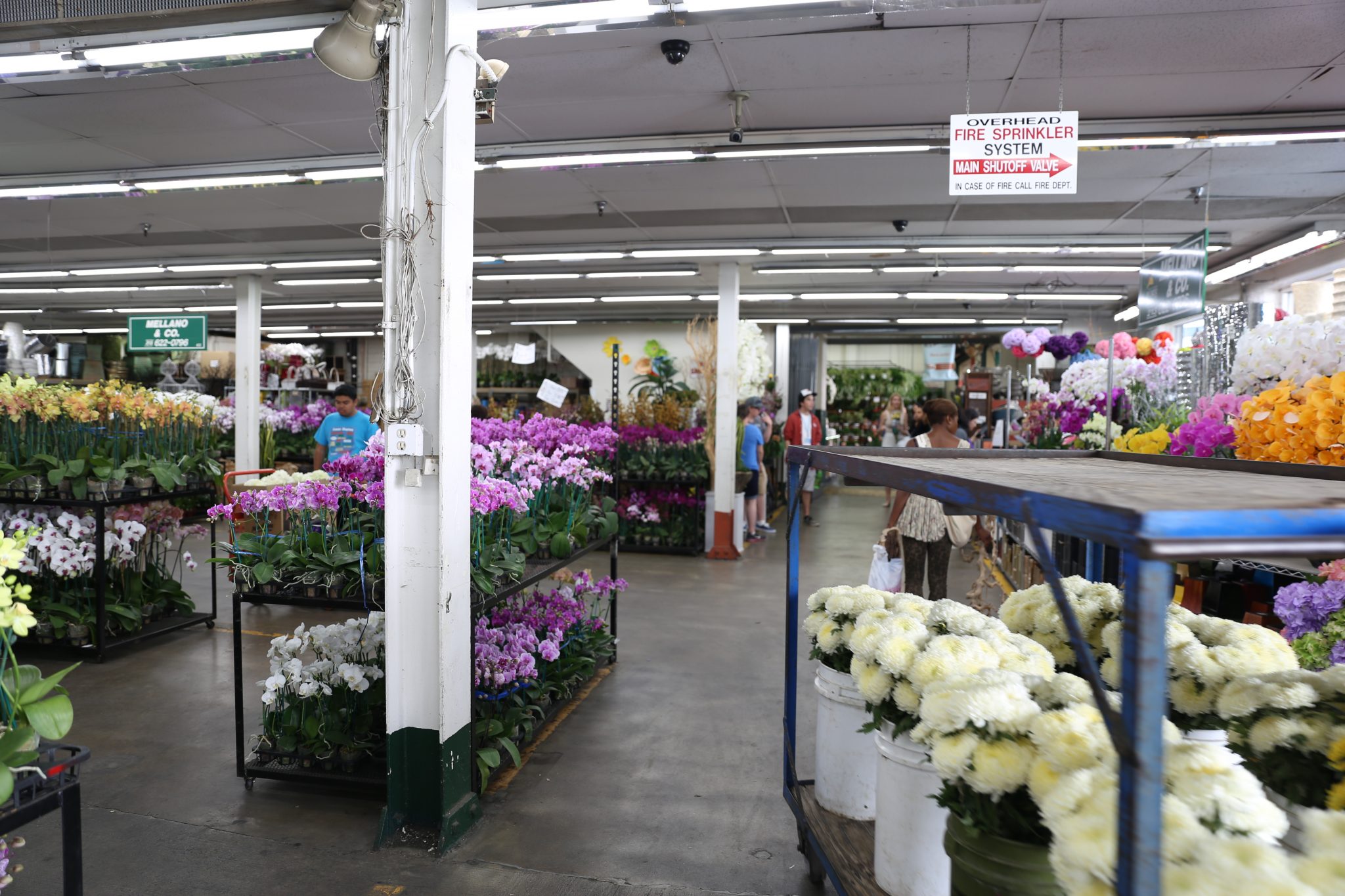 How to Shop at the Los Angeles Flower Market Ounce of Salt