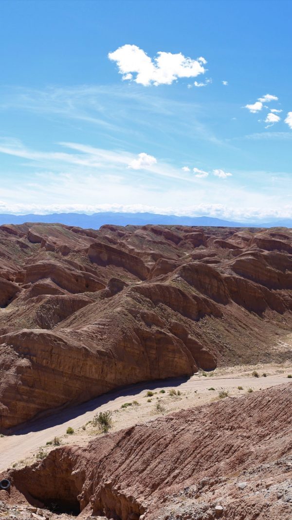 Super Bloom in California's Anza Borrego Desert State Park - Ounce of Salt